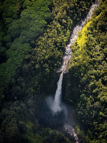 River, waterfall, nature, dense forest, green trees HD phone wallpaper