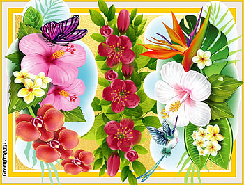 FLOWER COLLAGE, FLOWER, NATURE, COLLAGE HD wallpaper