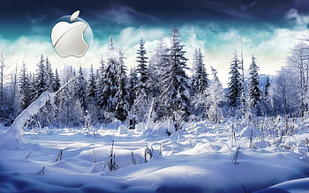 Â· Gallery Â· Computers Â· Winter Apple Mac . HD wallpaper