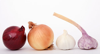 Onion, Garlic HD wallpaper
