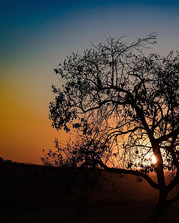 Doğa Huzur, gündüz, doğa manzara günbatımı, gece HD phone wallpaper