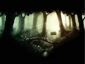 Landscape, Trees HD wallpaper