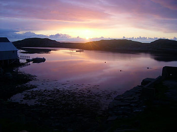 Purple Bear, purple, island, sky, bear HD wallpaper