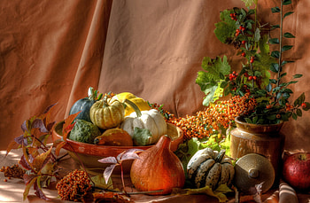 Food, Berries, Pumpkin, Still Life, Bush HD wallpaper
