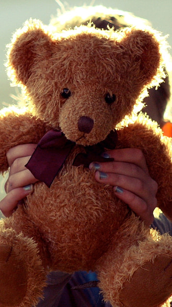 Teddy Bear Ka, Lovely, Teddy Bear HD phone wallpaper