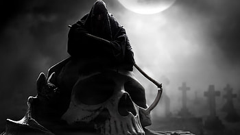 Night Rider, graphics, skull HD wallpaper