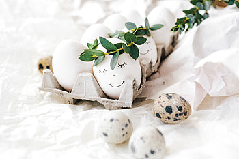 Art on eggs, cute, festival, Easter HD wallpaper