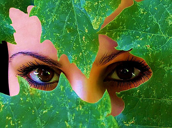 HIDDEN EYES, brown, green, eyes, hidden, leafs, beauty HD wallpaper