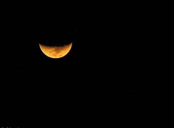 Half Moon, full moon, moon at night, blue moon HD wallpaper