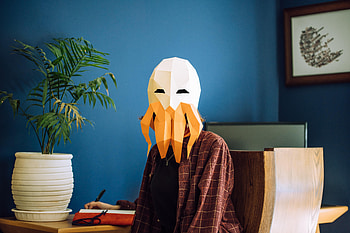 Octopus, Miscellanea, Miscellaneous, Mask, Room, Human, Person, Polygon HD wallpaper