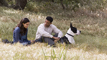 Seven Pounds (2022) movie HD wallpaper