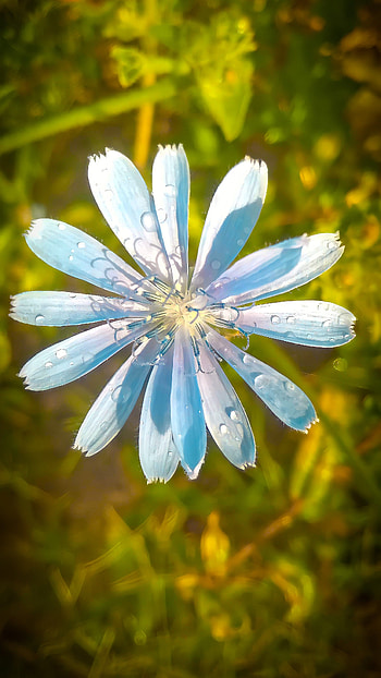 graphy nature HD phone wallpaper