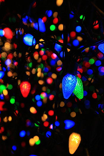 Dark, Multicolored, Motley, Glow, Garland, Light Bulbs HD phone wallpaper