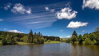Nature, Trees, Sky, Clouds, Lake, Fir, Spruce HD wallpaper