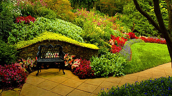Beautiful Resting Place, colors, bench, flowers, plants, park HD wallpaper