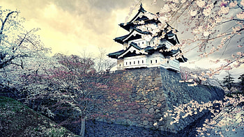 Preview city, sakura, japan, spring HD wallpaper