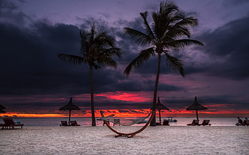 Tropical Sunset, tropical, beaches, clouds, nature, palm trees, sunset HD wallpaper