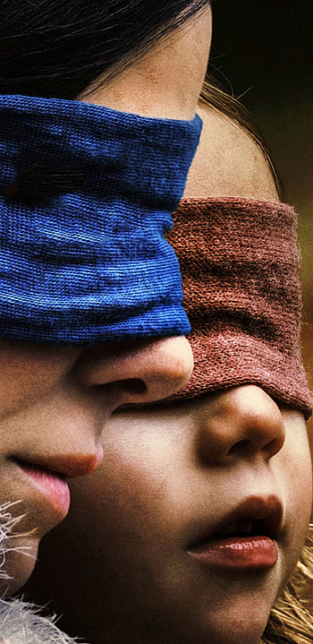 Bird Box, Popular , Striking visuals, Cinematic masterpiece HD phone wallpaper