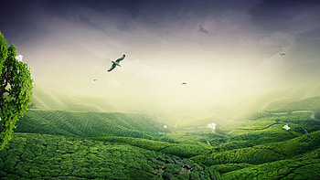 Green Landscape, green, landscape, nature HD wallpaper