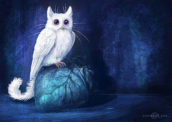 Fantasy, Art, Owl, Cat HD wallpaper