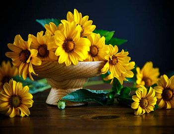 Bouquet of daisies, Flowers, Yellow, Daisies, Bouquet HD wallpaper