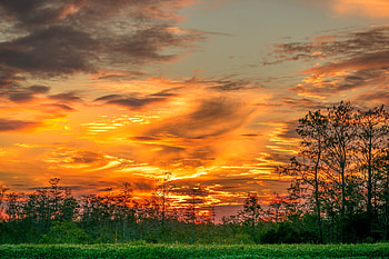 Yellow skyline, sky, sunset HD wallpaper