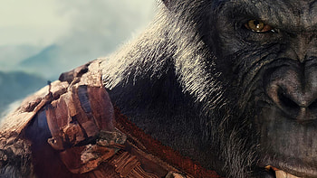 Kingdom of the Planet of The Apes, Kingdom of the Planet of the Apes HD wallpaper