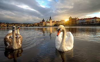Charles Bridge, Prague , Beautiful background , Travel inspiration HD wallpaper