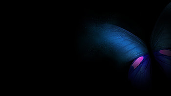 Butterfly Samsung Galaxy Fold Stock HD wallpaper