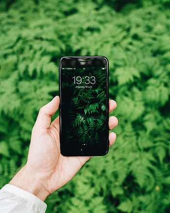 Grass, Hand, Miscellanea, Miscellaneous, Tele HD phone wallpaper