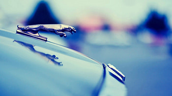 Hood, Jaguar Logo HD wallpaper