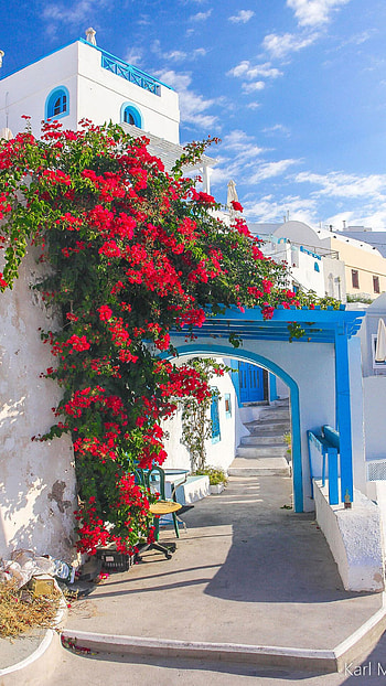 Greece, Bougainvillea in Santorini, Charming beauty, Romantic allure HD phone wallpaper