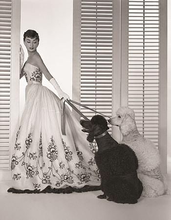 Audrey Hepburn , collage wall HD phone wallpaper