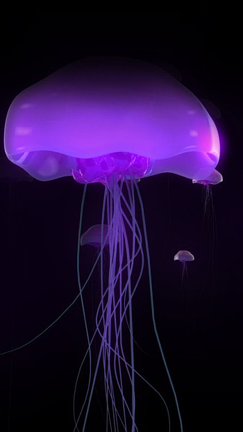 Purple glowing jellyfish, , Mesmerizing beauty, Captivating charm HD phone wallpaper