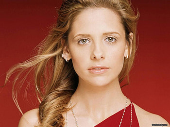 Sarah Michelle Gellar, nice hair, soft pic, pretty eyes, cute, actress, female HD wallpaper