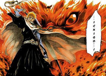 Ichigo Kurosaki, ichigo, phoenix, sword, flames, bandages, halberd, bleach, anime, kurosaki ichigo, weapon, cloak, manga, male HD wallpaper