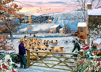sheep farm, farm, winter, country, sheeps HD wallpaper