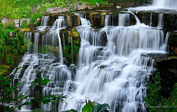 Landscape, Nature, Bush, Rocks, Waterfall HD wallpaper