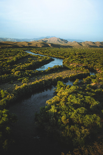 Plants, Nature, Rivers, Trees, Hills, Distance, Dahl HD phone wallpaper