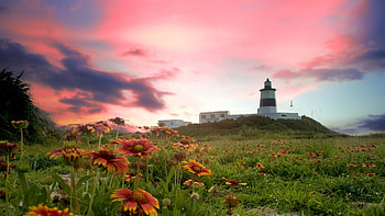 Sunset Point, lighthouse, spring, sunrise, summer, point, building, flowers, sky, hill, sunset HD wallpaper