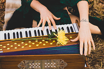 Yin harmonium workshop, Glen Cove yoga, Music meditation, Harmonic healing HD wallpaper