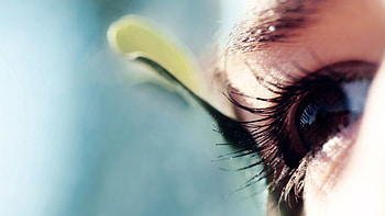 Macro, Brown, Face, Eye, Eyelash, Eyelashes HD wallpaper