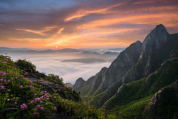 Beautiful Scenery, sky, nature, flowers, mountain HD wallpaper