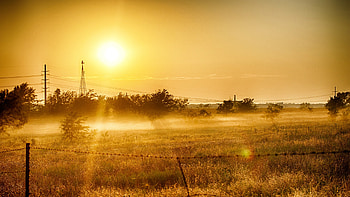 Dawn Grass In Summer Light, grass, summer, light, nature, dawn HD wallpaper