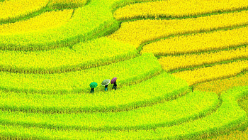 Asia, Travels, Women HD wallpaper