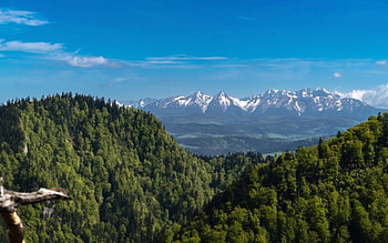 Tatra in Poland, Tatra, forest, mountains, Poland HD wallpaper