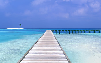 Landscape, Water, Bridges, Sea HD wallpaper