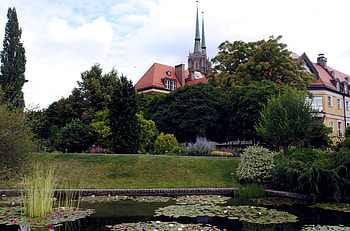 Nature, Water Lilies, Garden, Tower, Pond, Courtyard, Yard, Peaks, Spades HD wallpaper