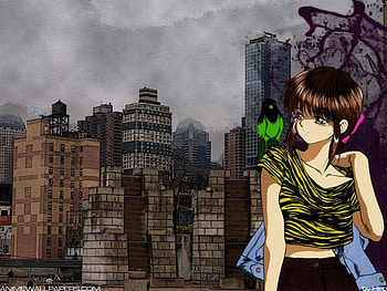 3 x 3 eyes, 3x3 eyes, anime, bird, Pai Ayankoji HD wallpaper