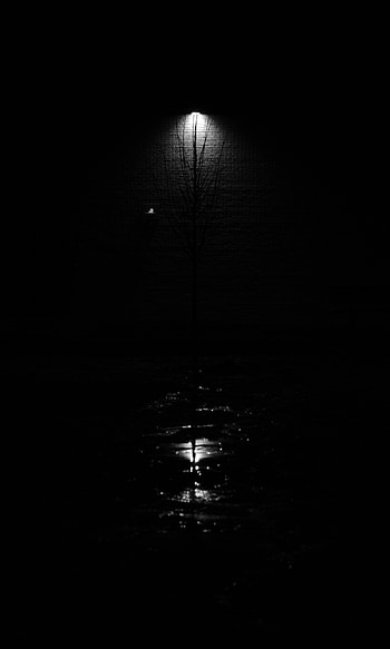 Wood, Tree, Lamp, Lantern, Bw, Chb, Glow HD phone wallpaper